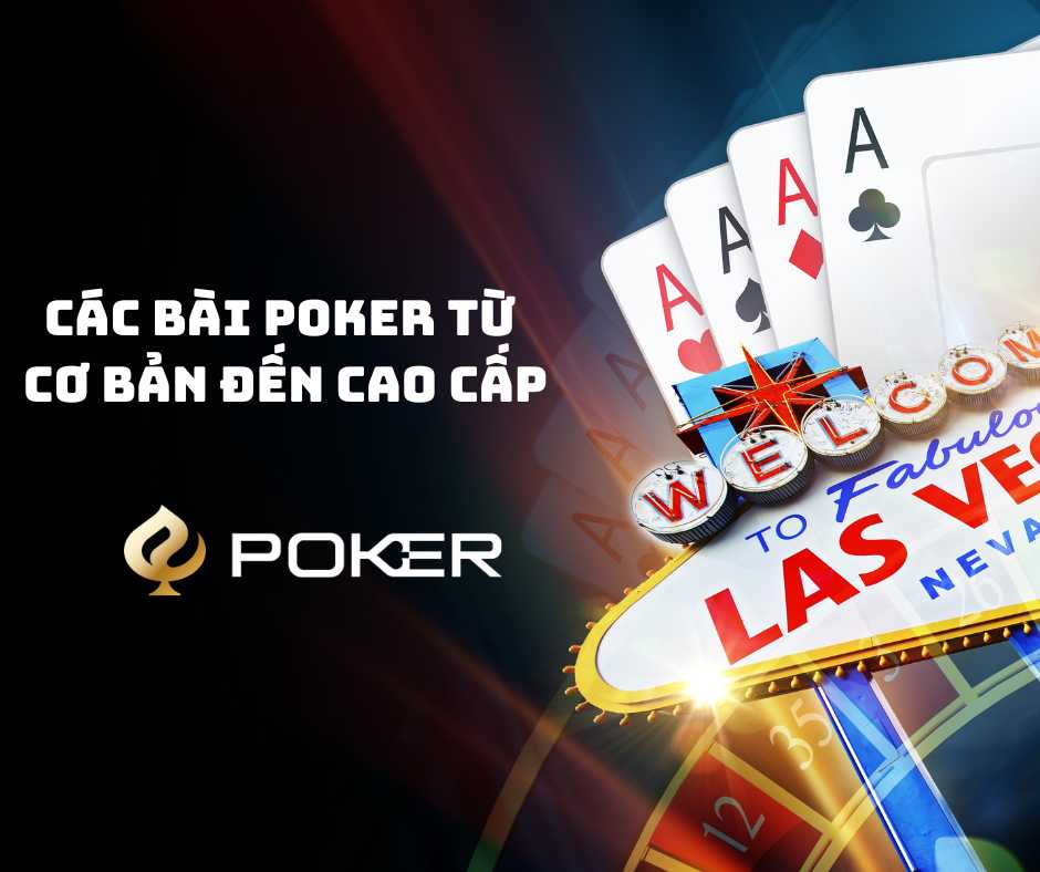 Các Bài Poker Từ Cơ Bản Đến Cao Cấp