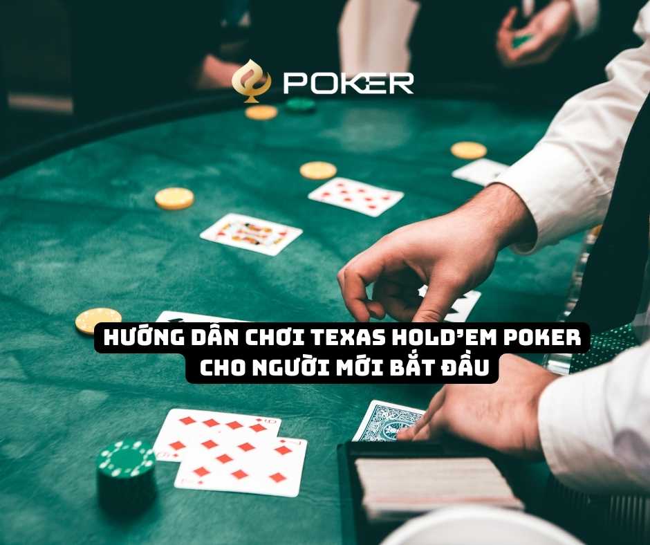 Hướng dẫn chơi Texas Hold’em Poker cho người mới bắt đầu