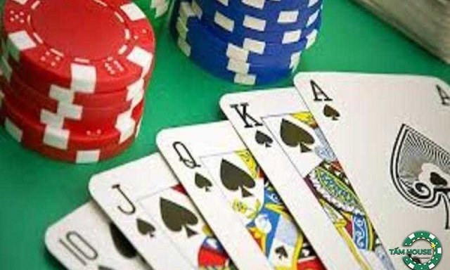 thong-tin-su-dung-poker-online